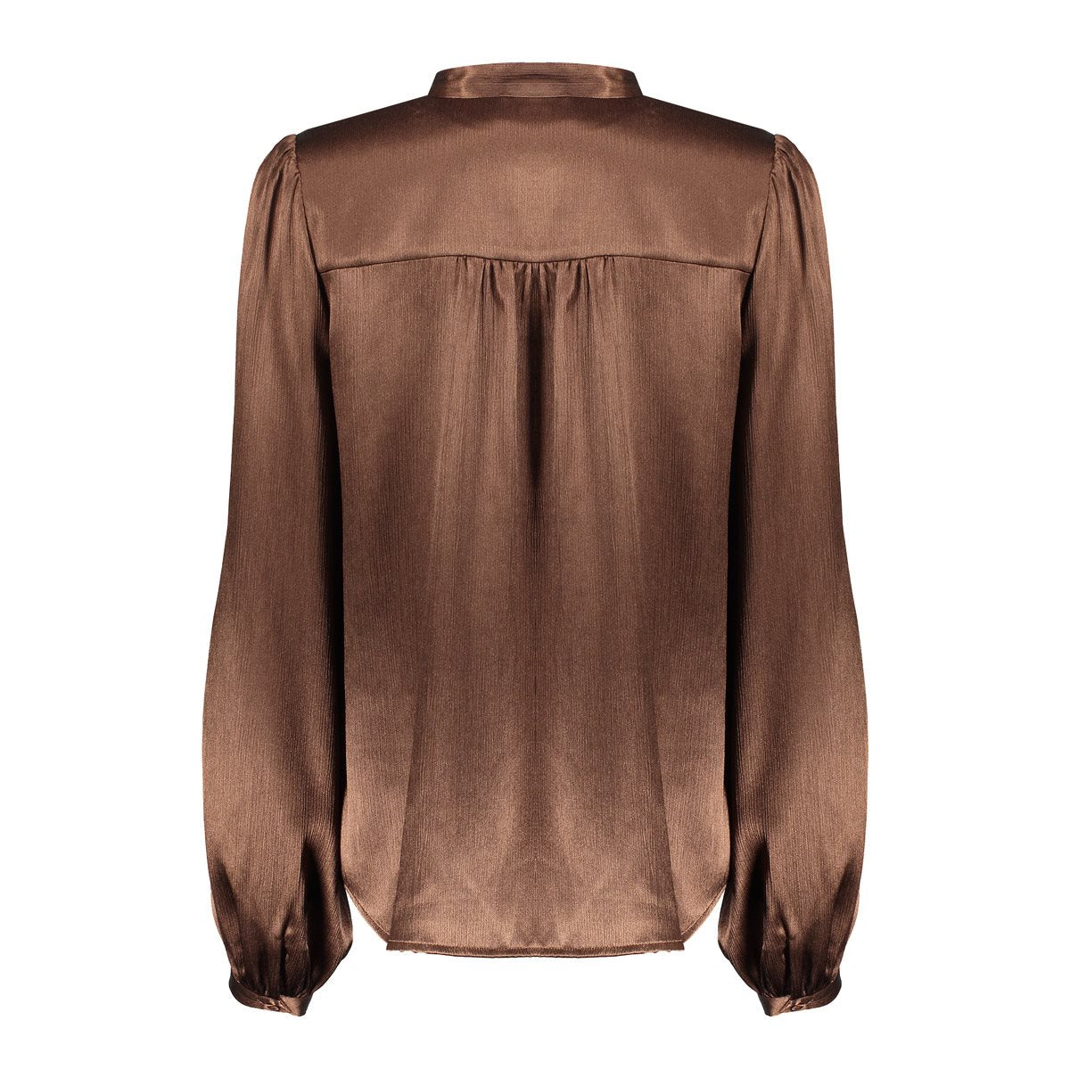 Glanzende Blouse