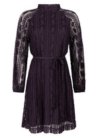 Fancy Lace Crinkle Dress