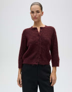 Gebreid Vest Disille